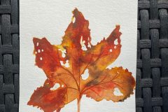 Aquarell Blatt