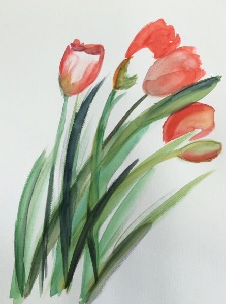 Tulpen ohne Vase