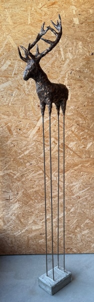 Hirsch