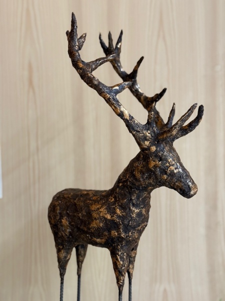 Hirsch, Detail